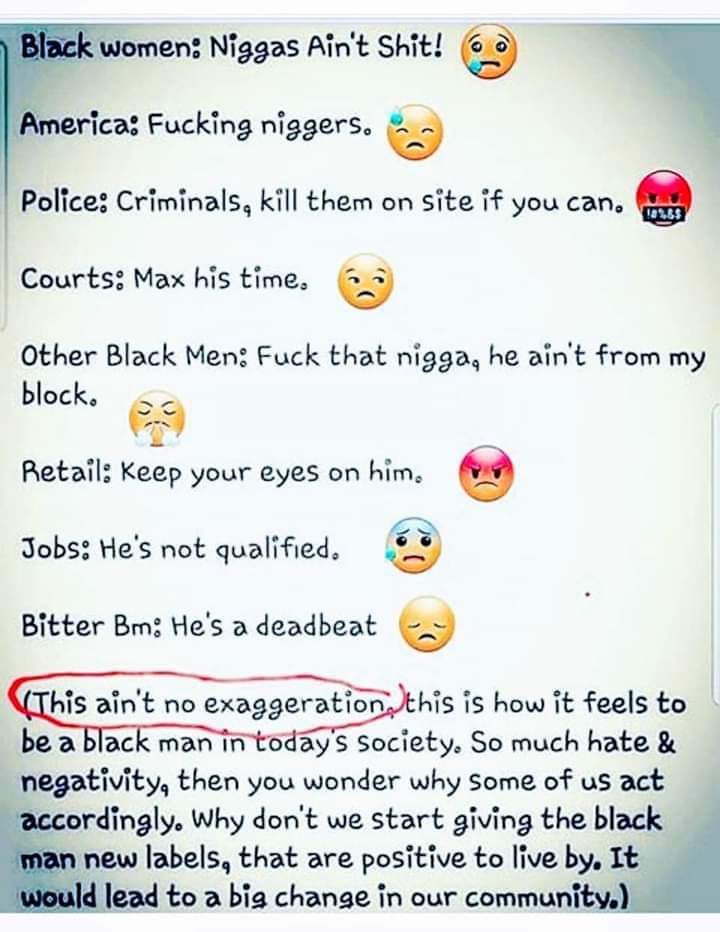 Dobies Rule tweet media