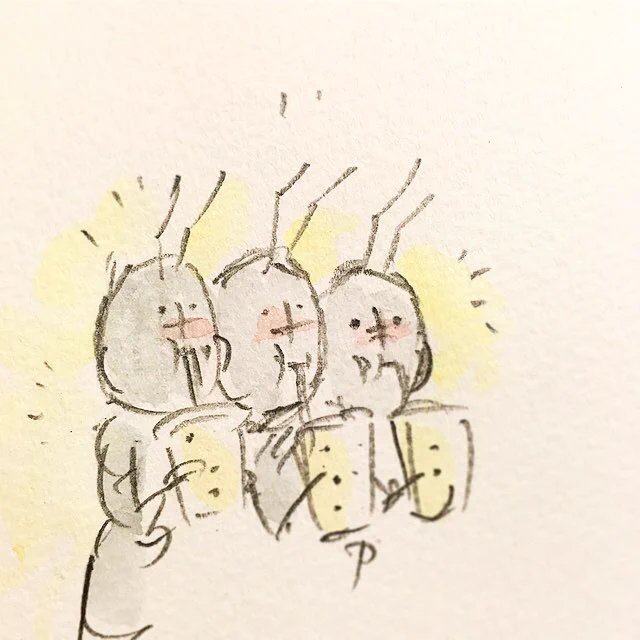 アリとキリギリスとは大違い！働きアリとタピオカガエルの話に感動‼
