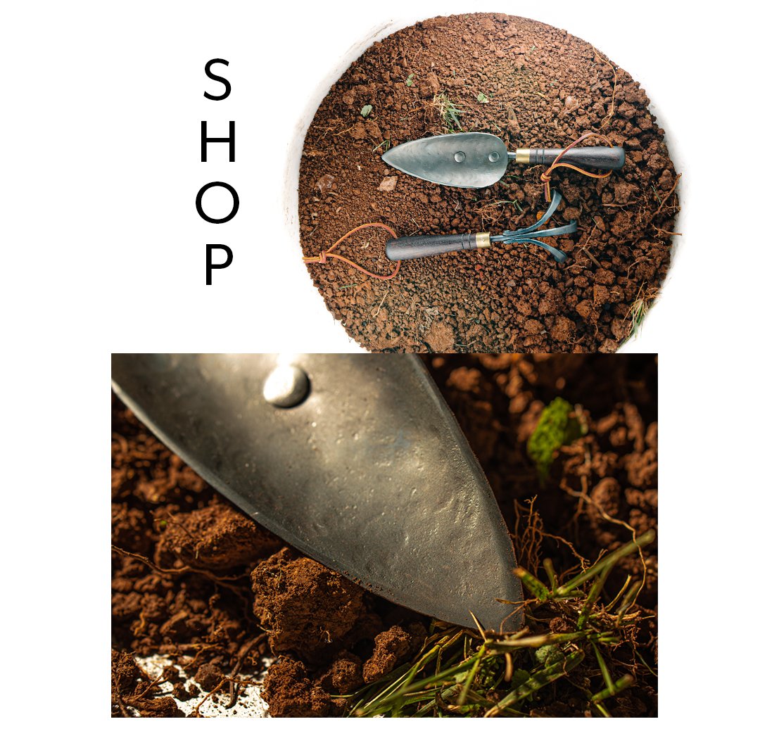 Blanc Creatives tweet media