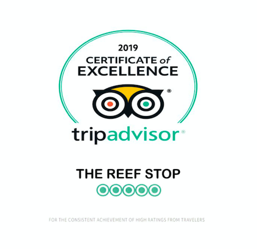 Thank you, everyone.