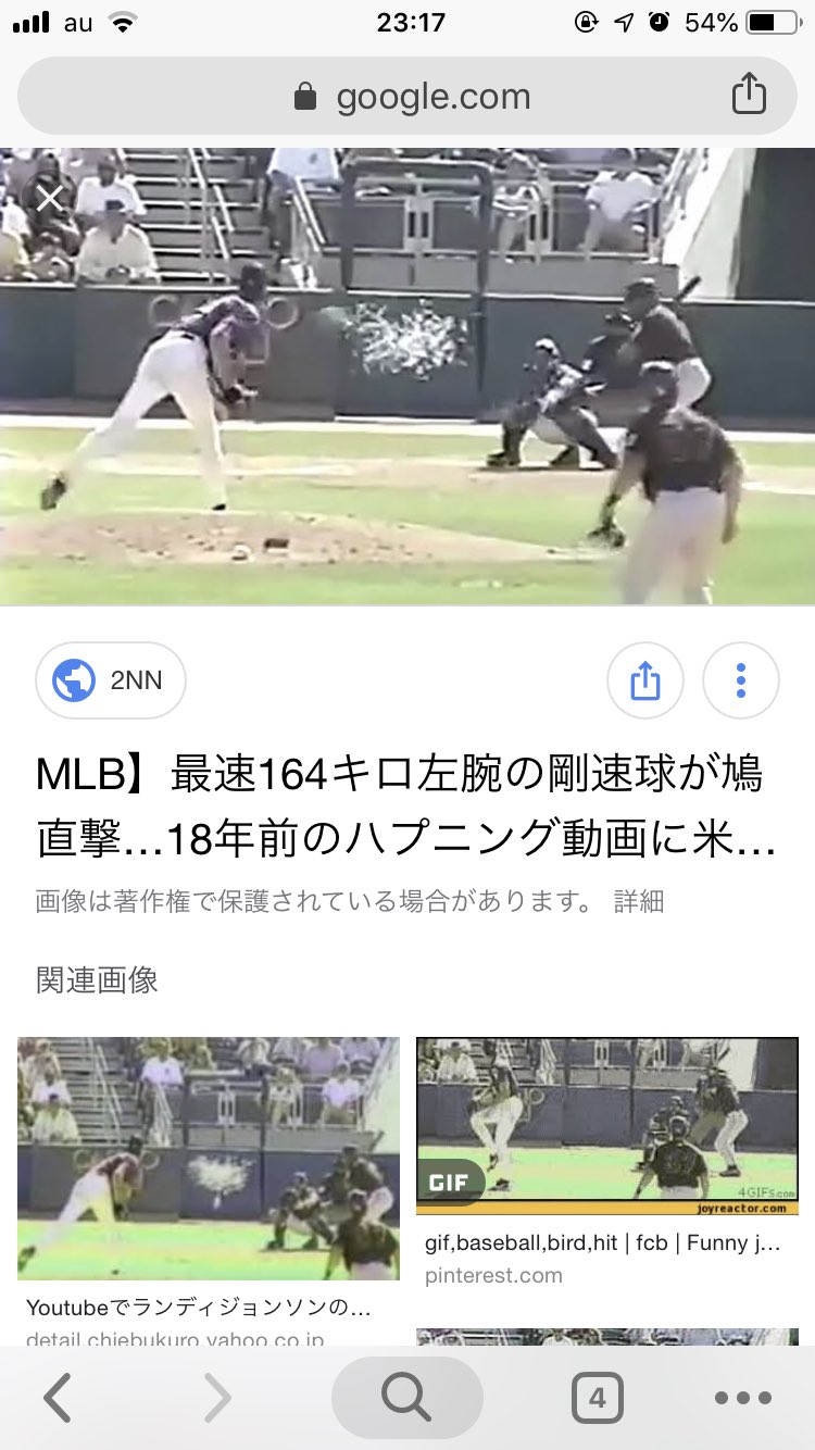 ランディジョンソン 鳩 ランディジョンソン 鳩