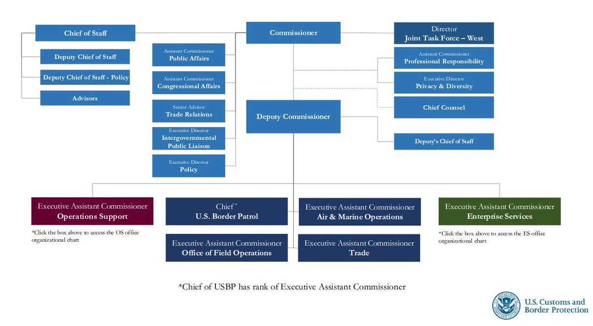 Customs Organizational Chart