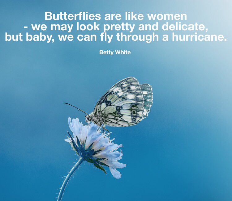 dearfrugallife's tweet photo. Keep flying through the hurricane. It’s what we do.
#slaydebtlikeaboss #thriftosity #autismmom #singlemom #momlife #hustle #grind #success #debtsnowball #debtfreegoals #debtfreecommunity #daveramseybabysteps #gazelleintense #frugalliving #livelikenooneelse @bettymwhite https://t.co/6IuFPCSpjD
