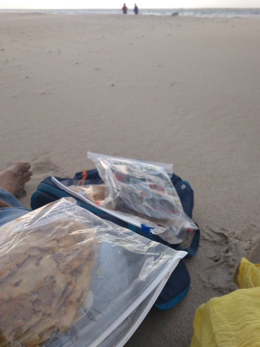 Reached Dhanuskodi. I made us breakfast: Aloo paratha and cupcakes.