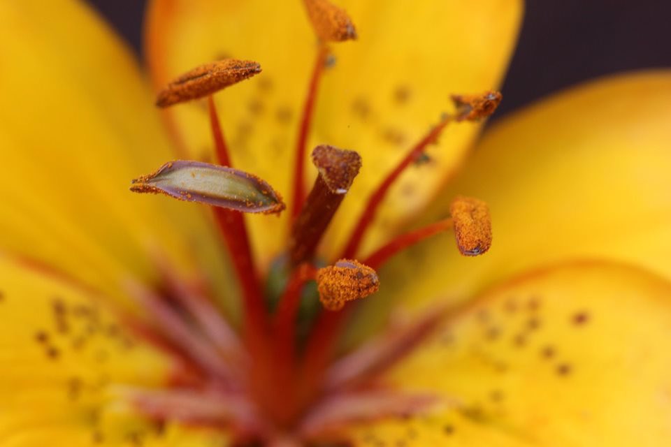 nettyastley's tweet photo. I know you are all probably bored with these now but tough ๐ฌ
#Mothersgarden #macrophotography #beeswings #NaturePhotography https://t.co/KFyzi2xDVC