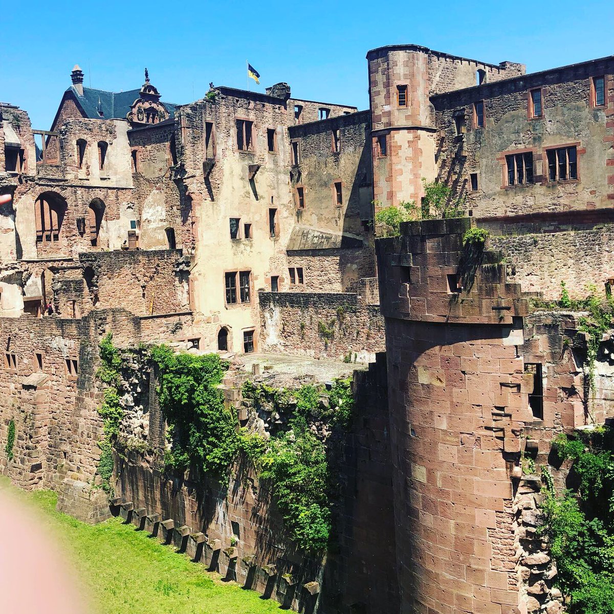 Jaime Maddon tweet media