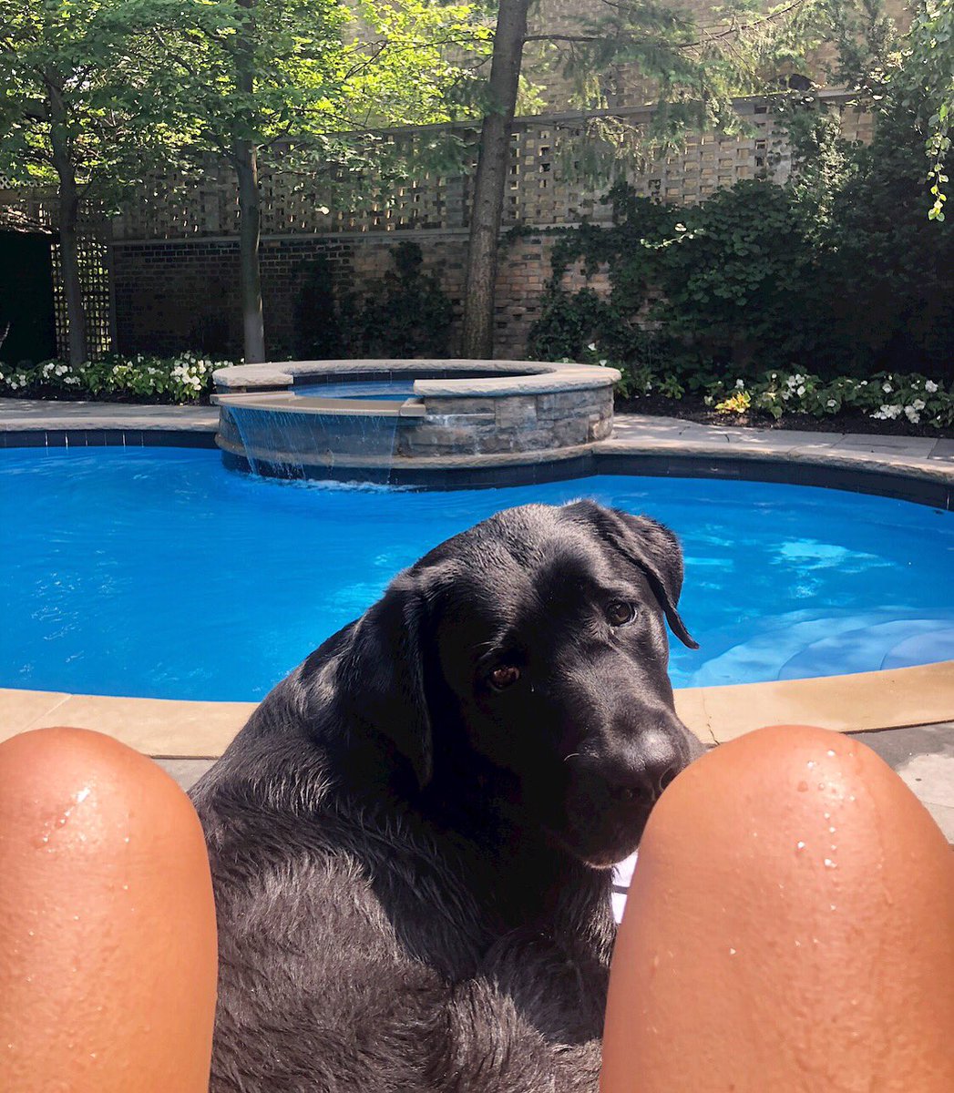 natashankpr's tweet photo. My Sunday view π₯°πΆπ¦ #Koddog π€ https://t.co/q3bJTg0PVX