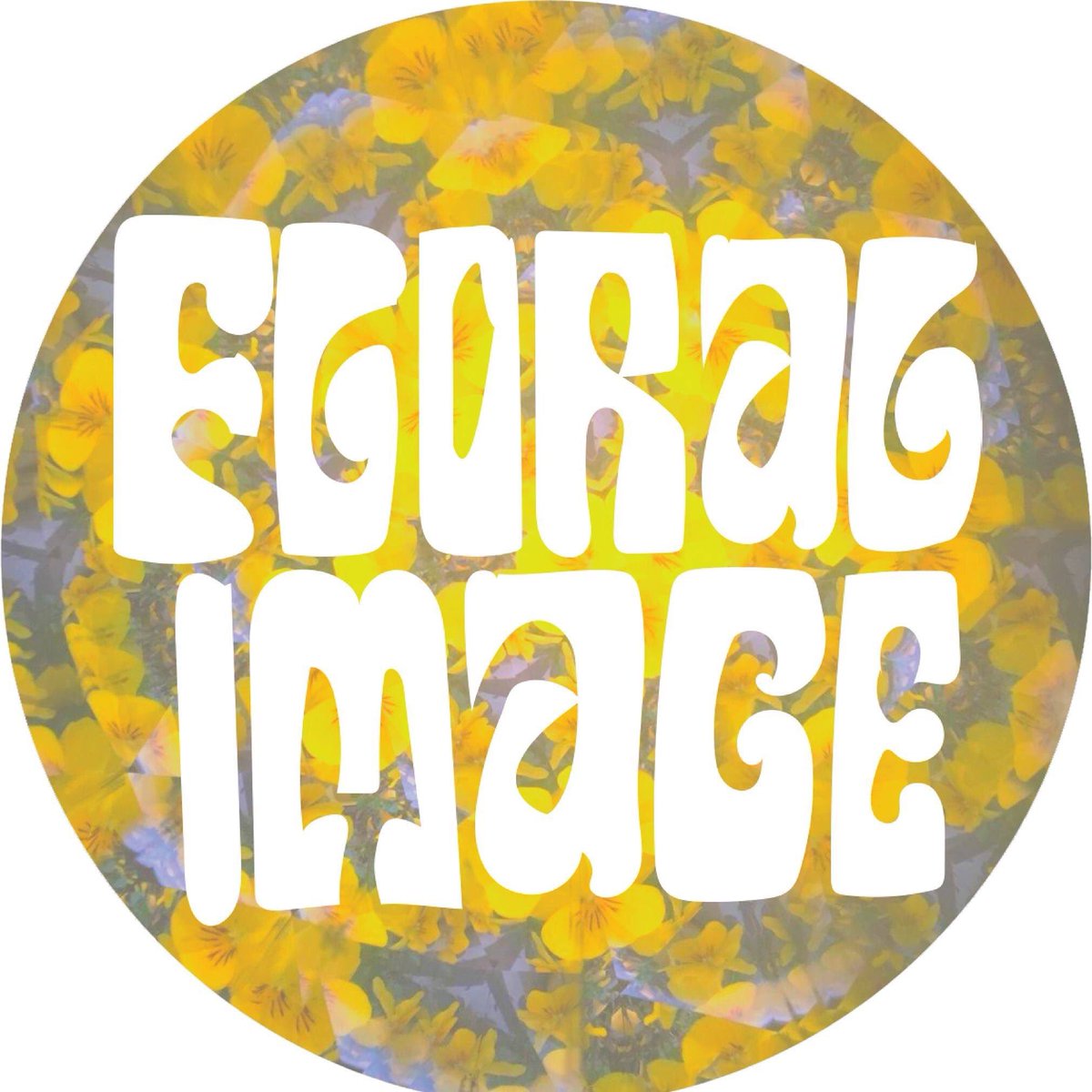 Pizza Club tweet media