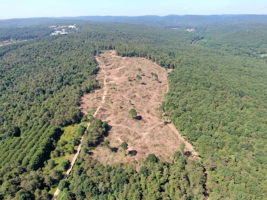 Değerli Dostlar, ağaç katliamı ihbarı yapıyorum. Göktürk Kemer Country'nin doğusundaki Devlet ormanında 1 aydır günde 12 saat ağaç kesiliyor. Kesimi yapan taşeron firma gençleştirme yapıyoruz diyor ama aslında alan açıyorlar. İlk 2 foto 8 Haziran son 2 foto 22 Haziran'da çekildi.