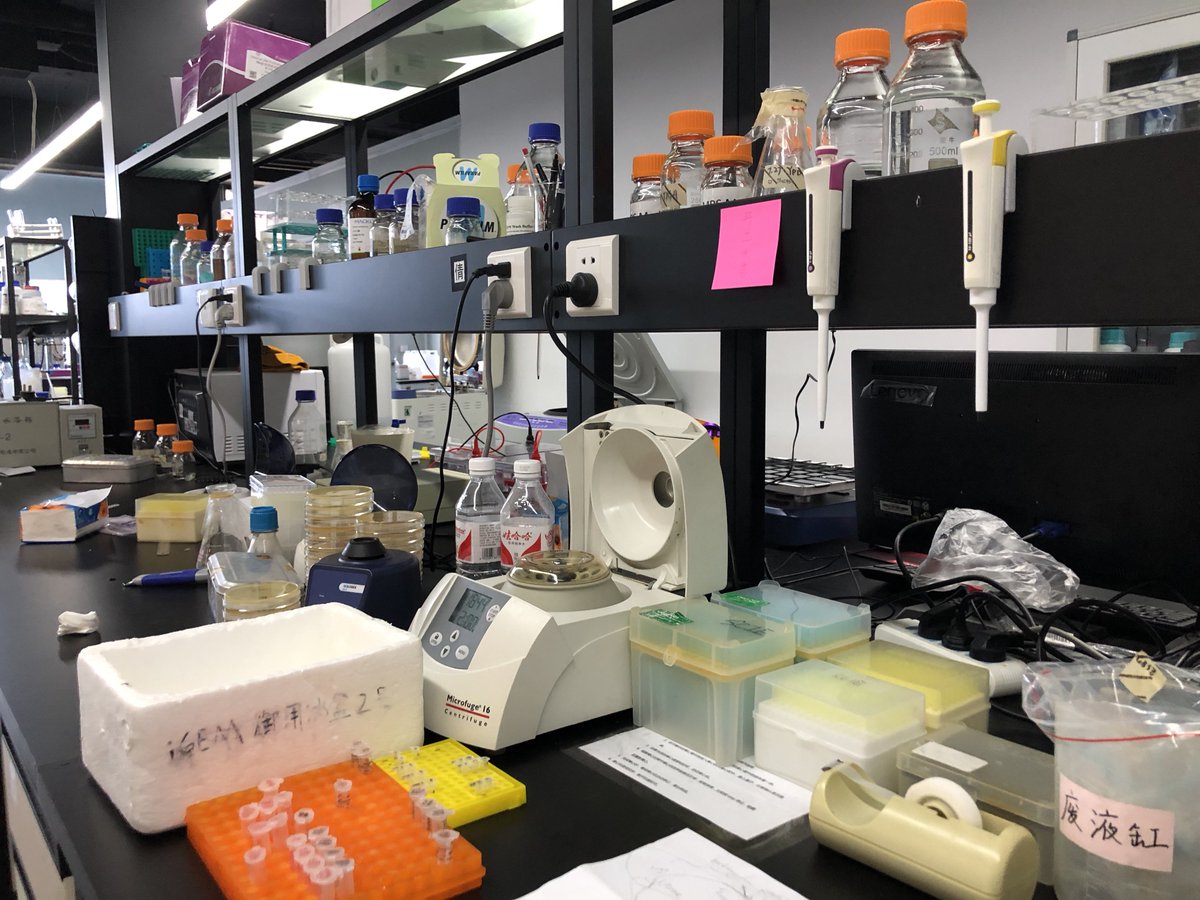 Back to lab for the mCATNIP paper🤞
(From <a href="/alexis_zeng/">Jiayi (Alexis) Zeng</a> )
