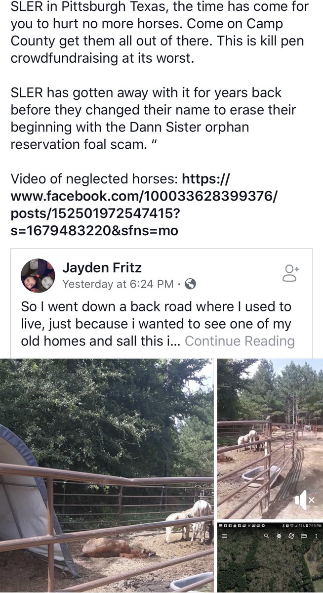WestCoTbs's tweet photo. Scarlett’s Legacy Equine Rescue in Pittsburg TX in trouble for neglect now too it seems. Arrest made, some horses seized. Mass bail dumping grounds from what I’ve read, anyone familiar with this group have more info? https://t.co/eVP4y09jwP