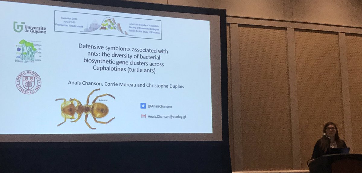 Chemistophe's tweet photo. Great work @AnaisChanson that was an amazing first talk at #evolution2019  @CorrieMoreau and I are #proudPI https://t.co/BJB636KuPu