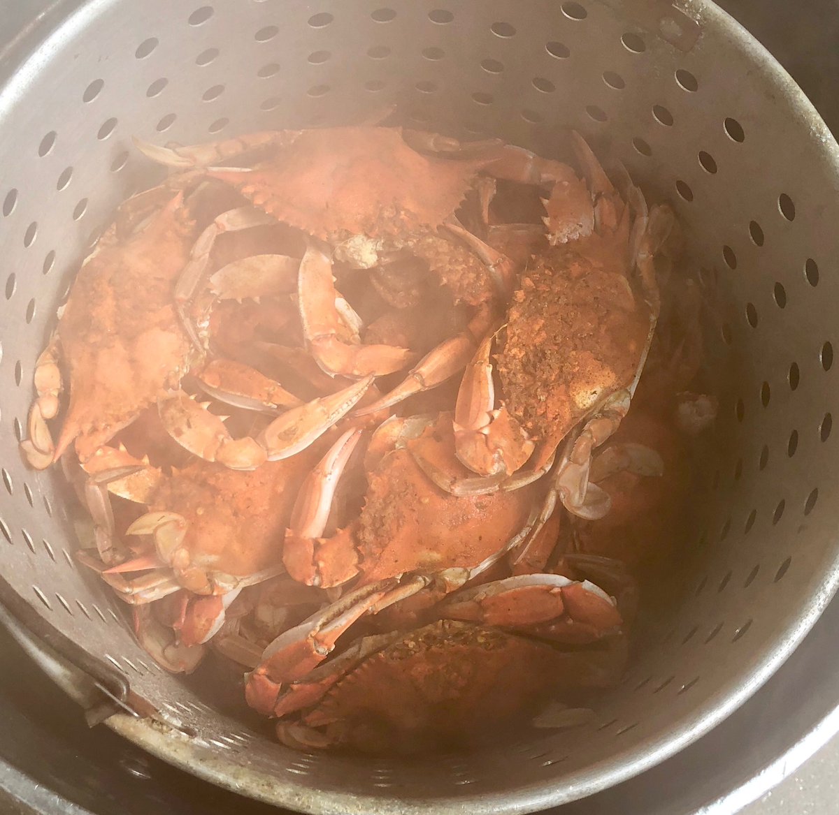 the hungry cat tweet media