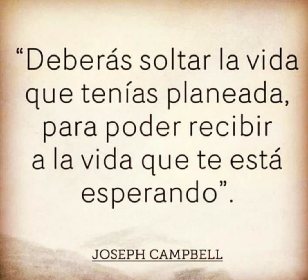 Paula Paya (@payapaula) on Twitter photo 