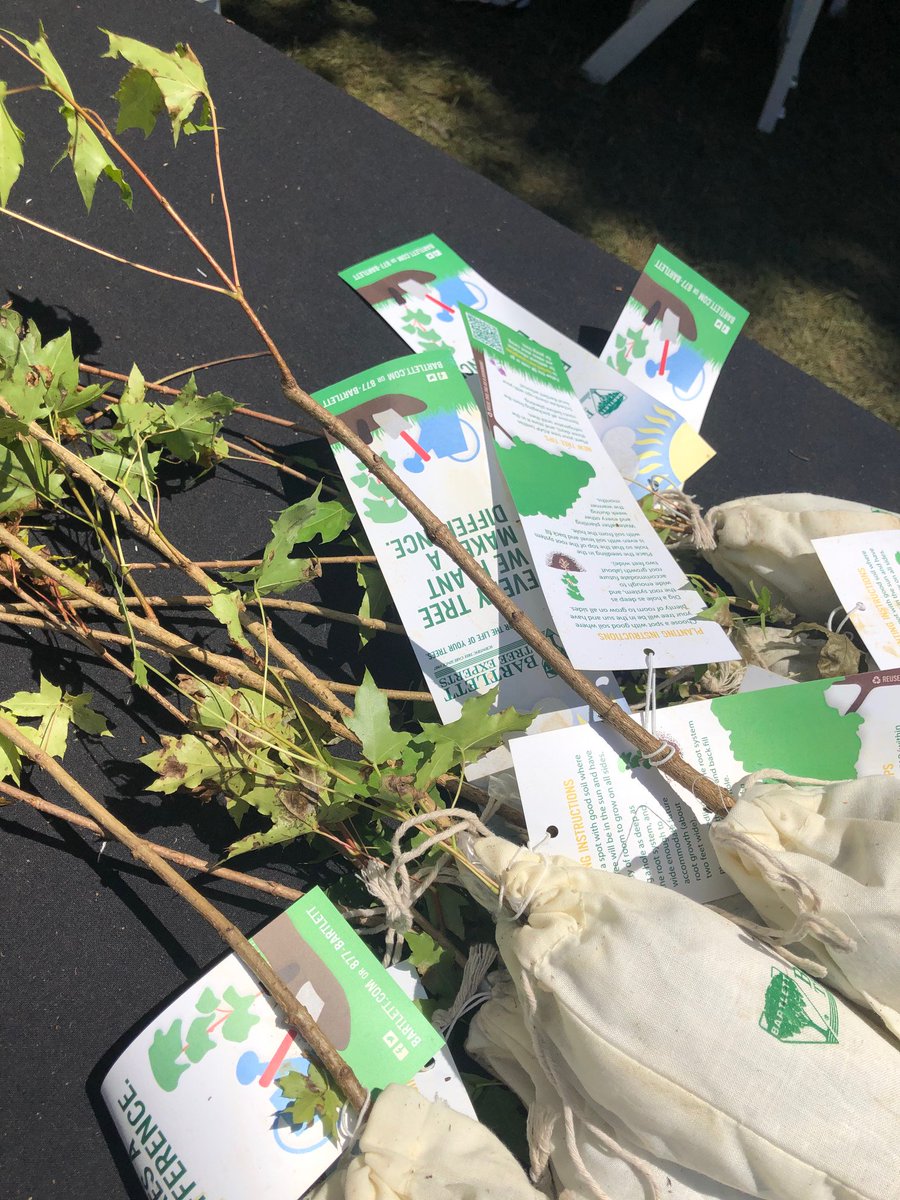 Visit the <a href="/BartlettTreeExp/">BartlettTreeExperts</a> Canopy on the front lawn of Rosecliff, get some expert advice on caring for your trees, and take home a free sapling from the #NewportFlowerShow today!