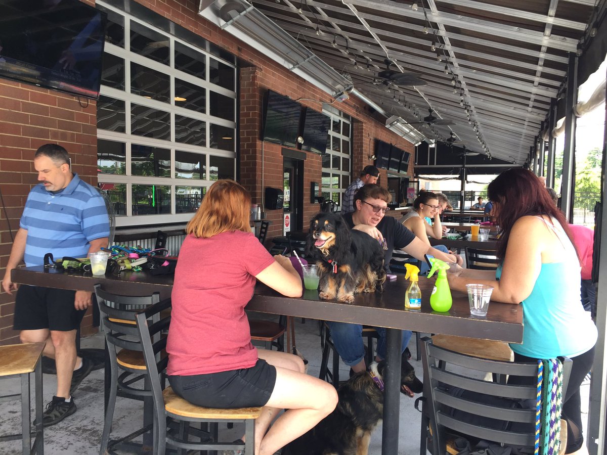 GCSPCA's tweet image. Having a foster hangout 12-4.