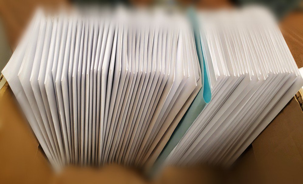 babspov's tweet image. Tomorrow is our @GCSchoolsNC CDF Freedom Schools six-week literacy camp kickoff at two sites, serving 100 kids/68 families grades K-4 who attend six of our elementary schools! #equityinaction #doingthework @GCS_DEI_Office