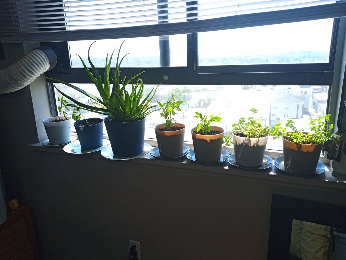 Kevin Stapleton (@NobleCheetah) | Twitter