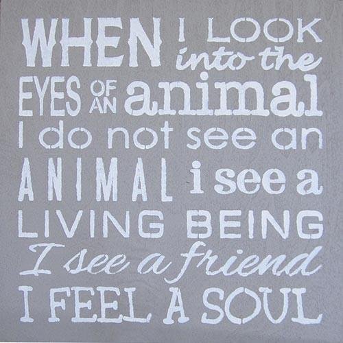 #bekind #compassion #kindness #inspire #vegan #animalrights #peace #consciousness #motivation #dogood #quoteoftheday #motivationalquote #motivationalquotes #quotestoliveby #lifequotes #wisdom #motivational #quotesdaily #wordsofwisdom #quotesforlife #dailyquotes