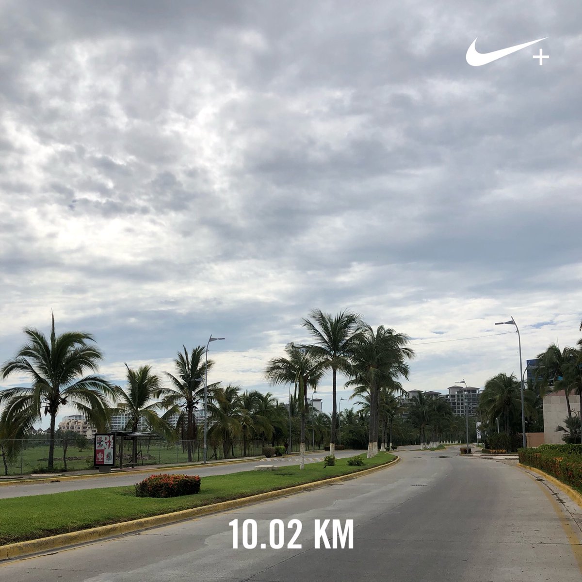 RunnerInstinct's tweet photo. Hoy se corrio, buen ritmo, calor y pura buena vibra! #RunnerInstinct #YoElegiCorrer #SumandoKMx ππββοΈπ€π» https://t.co/V15FE9xmIU