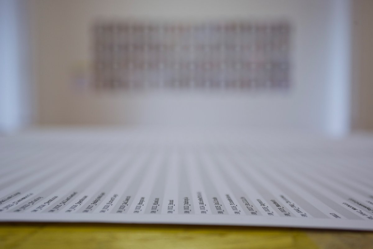 20/25: The timing of this website update feels fitting. Anyone who's gotten me to take photos in the past 7 years would have received a project code in the image title. 'SM_0001...SM_0002' etc. I'm currently on 'SM_0992'. Over the next week I'll hit 'SM_1000'. My 1000th project.