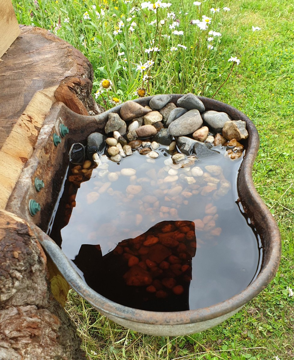 ConservationAcc's tweet image. Very pleased with my latest creation. A statement-peice #birdtable incorporating #bughotel areas. Even has a gutter to catch rain-water for a #birdbath The stones will stop young birds drowning.