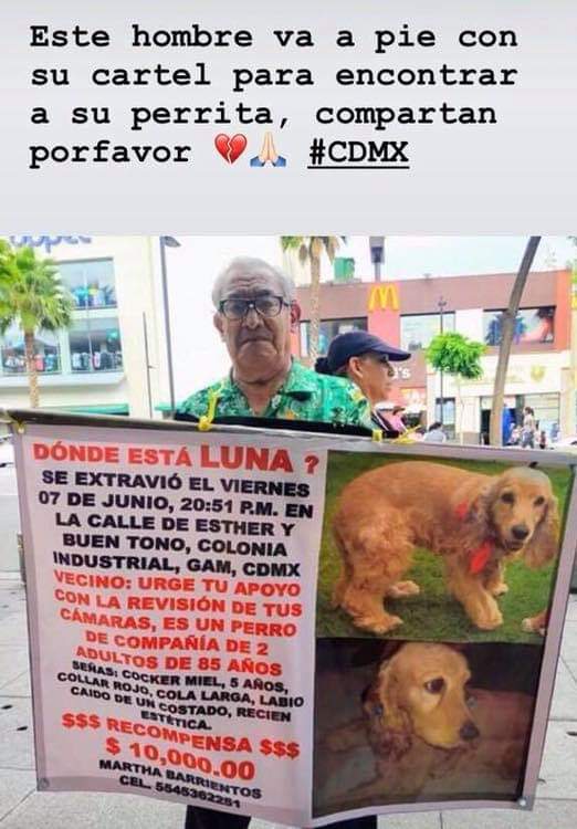 Sabueson's tweet image. Lo compartimos