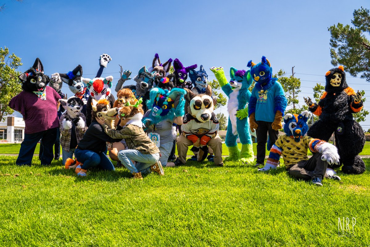NocheRedPanda's tweet photo. Another great meet with the @OCFurs! Photo's of the event are live on my website!
https://t.co/ct1DjcxCMm
Please share them on any social Platform!
Have an event? Want me to capture it? Then contact me! Love doing what I do!
#furry #furries #OCMeet https://t.co/vP6wAyLle2