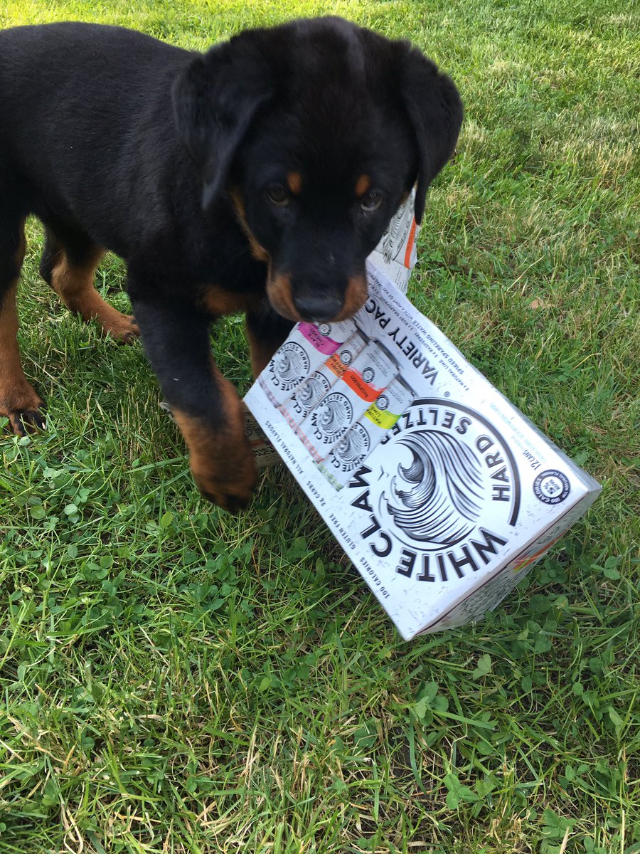 TheShaylaMarie's tweet photo. #whiteclaw @scottwilson2020 https://t.co/dZ8LmajfFe