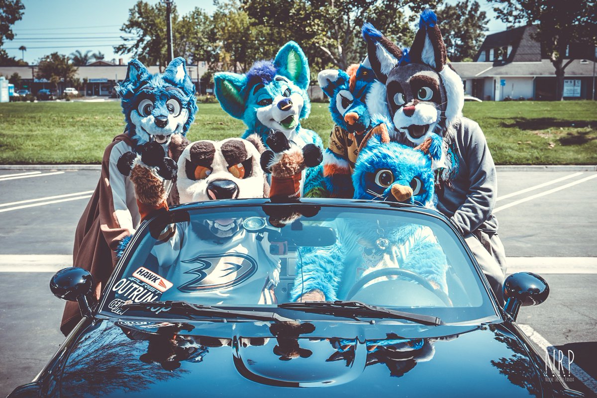 NocheRedPanda's tweet photo. Another great meet with the @OCFurs! Photo's of the event are live on my website!
https://t.co/ct1DjcxCMm
Please share them on any social Platform!
Have an event? Want me to capture it? Then contact me! Love doing what I do!
#furry #furries #OCMeet https://t.co/vP6wAyLle2