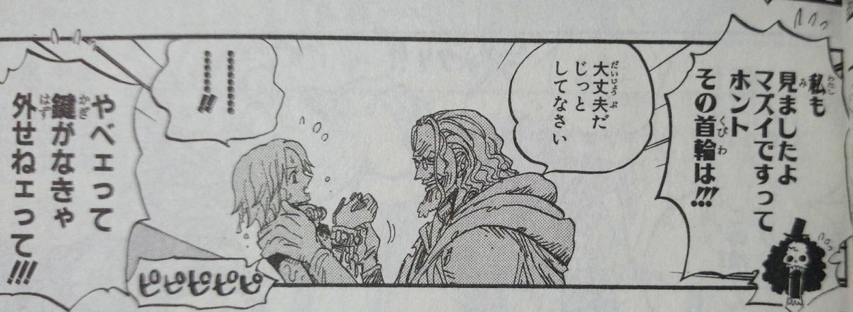 冥王レイリーの悪魔の実の能力は 強さを黄猿と比較 懸賞金 若い頃 名言は