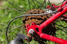 Y'all, ACTIVE MOBILITY IS BACK and we are SO STOKED! Join us for some gentle stretching and active recovery - the perfect Saturday activity!! work out those rusty joints!

#solcanafitness #activerecovery #activemobility #stretching #selfcare #recoveryday