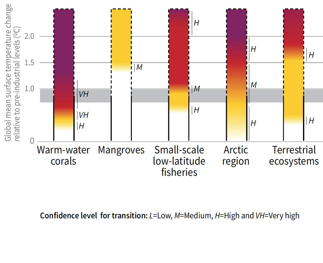 ... and risks & impacts to ecosystems are steadily increasing (18/n)  @oveHG  @wolfgangcramer  @DJ_Gerics  @TaniYa_Nic  @InesCamilloni  @FaEngelbrecht