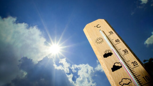 Tropenrooster op de Flevosprong.
Vanaf dinsdag t/m vrijdag van 8.00 uur tot 13.00 uur school.
Mocht het niet lukken om uw kind(eren) eerder op te halen of opvang te regelen dan vangen wij ze natuurlijk tot 14.00 uur op.