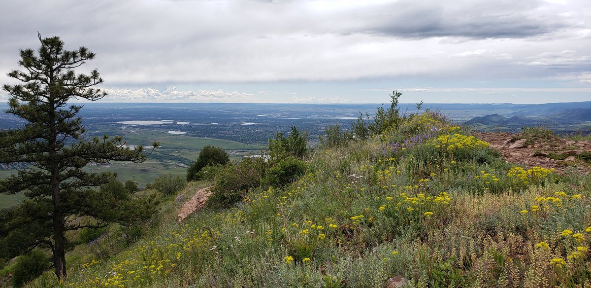 BFish100's tweet photo. Views from this weekend's runs.
1. Full Colorado River near downtown Grand Junction.
2. Along Mitchell Creek above Glenwood Springs.
3. Summit of good old #mtmorrison
Wasn't ideal weather, but it was a great weekend! #getoutside #trailrunning #coloRADo #livingthedream https://t.co/SOUyWb66J6
