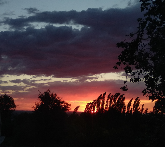 xoananas's tweet photo. its too beautiful
i want it to be here https://t.co/PuEGIA12DF