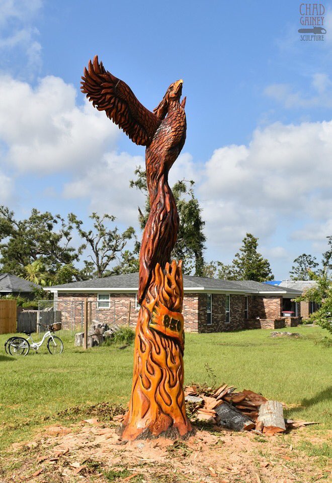 Rising Phoenix from an oak tree damaged by #HurricaneMichael in Panama City, FL. #850Strong #panhandlestrong