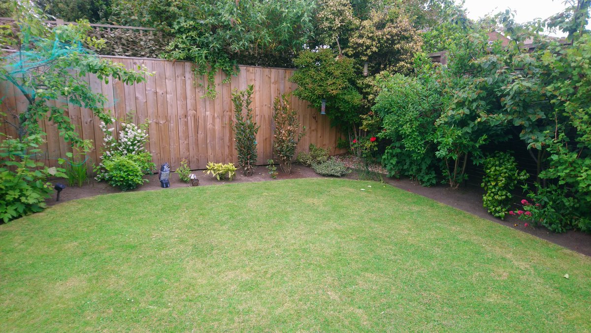 DeedsHouse's tweet photo. Back garden June 2019 https://t.co/HsIa8B4YvP