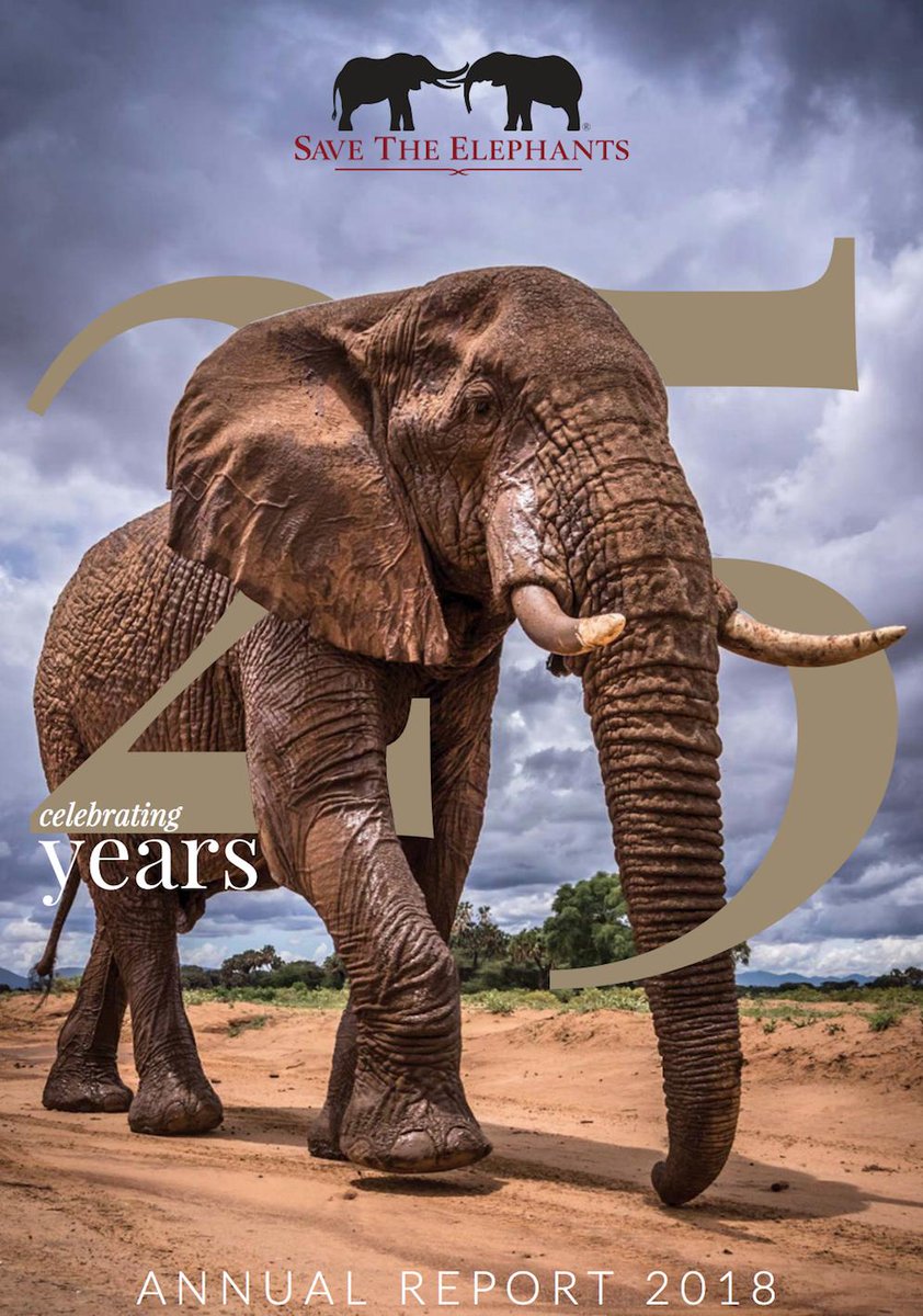 Check out Save the Elephants' 2018 annual report, hot off the press! The report celebrates STE’s 25 years at the forefront of elephant research and conservation. Read more: bit.ly/steAR2018. Photo: @robbielab #AnnualReport #SavetheElephants #Elephants #STE25years