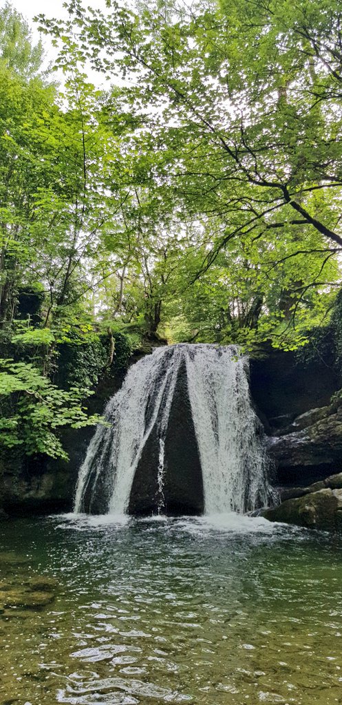RoutledgeSteve's tweet photo. A few from today with @traceydawn2 Janet's Foss,Gordale Scar &amp; Malham Cove #Lovethedales https://t.co/NyGiEuS3by