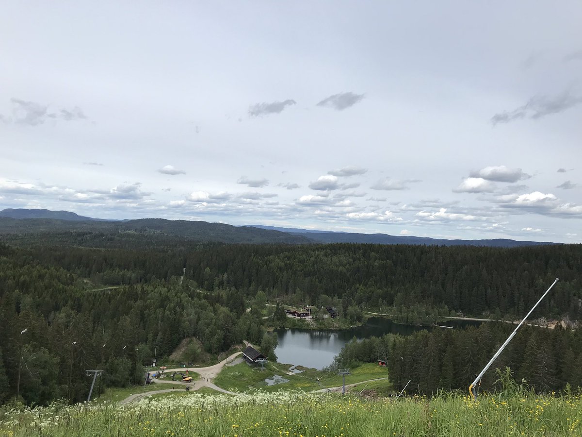 caiyuanle's tweet photo. Climbed trees with Jiang Yan in Oslo Summerpark, and had a good dinner with a new friend~ https://t.co/Izz6oHLIgv