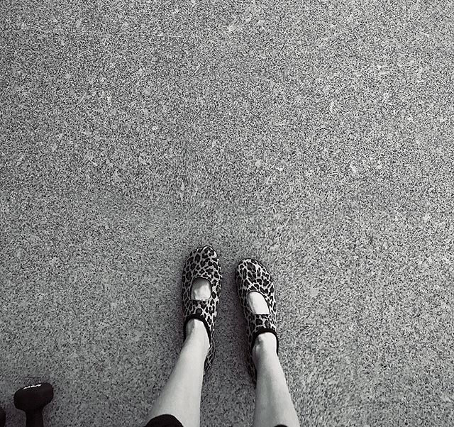 lefffffty's tweet photo. #Sunday at the #barre // w/ funky #balletsocks https://t.co/9RW6i6AZ7Z https://t.co/a3bruPDmCz