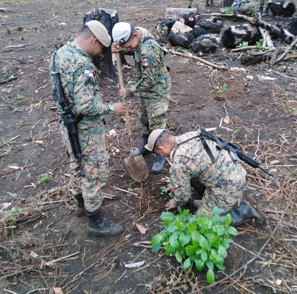senafrontpanama's tweet photo. Unidades de Senafront siembran 1,200 plantones maderables en #Darién por un país más verde, más sano y más sostenible #ServimosConPasión @MiAmbientePma @TReporta @tvnnoticias @nexnoticias @SertvNoticias @criticaenlinea @PanamaAmerica @prensacom @EstrellaOnline @reformaseoye https://t.co/nBUeEXXAUR