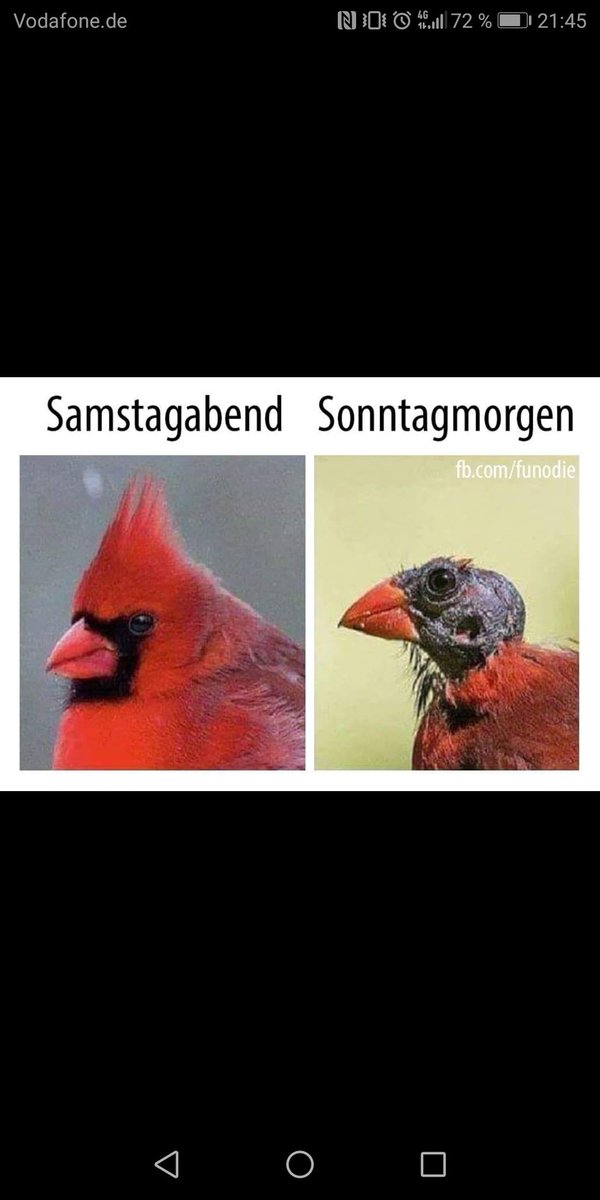 Ich hoffe ich bin nicht der einzige :D