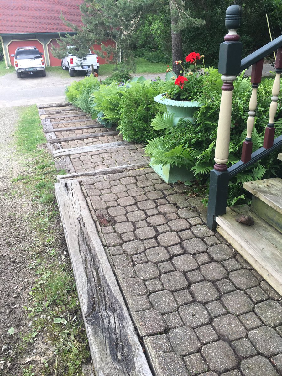 mickeylangley's tweet photo. Weeded today https://t.co/dVfBRyD5lf