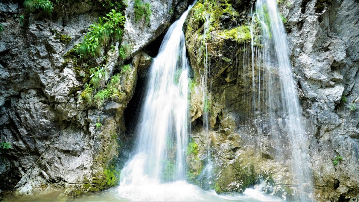 photomenace's tweet photo. #waterfall #waterfalls #water #selectivecolorphotography #selectivecolor #nature #naturephotography #natureimages #shutterspeed #slowshutterspeed #silkywater https://t.co/3K5bLJpPpU