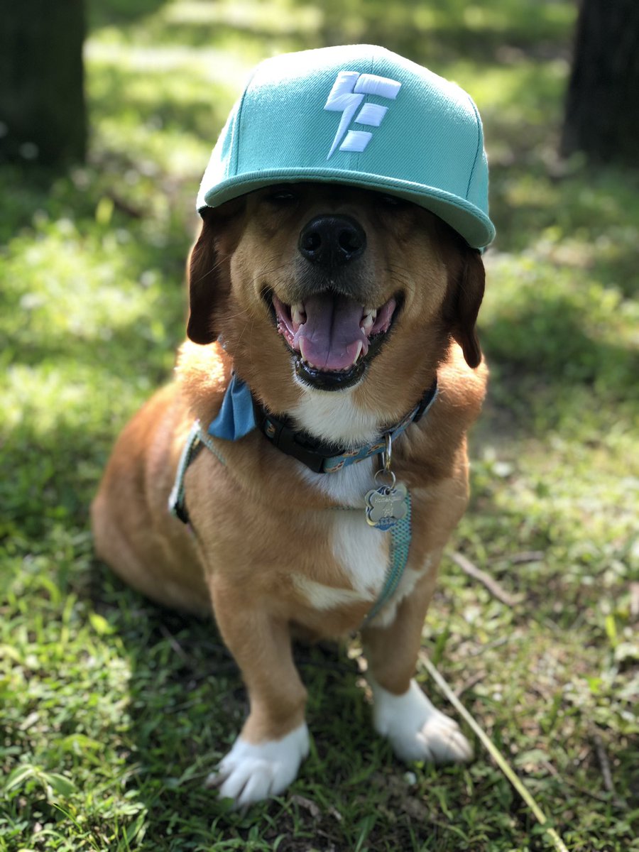 SoloDarling's tweet image. ⚡️My @electrothreads mint SnapBack came in and it’s perfect! Totally matches my ✨Ponyta✨hair 😭😍💙 @officermagnum_k9 🐾 

 #ElectroThreads #GoodVibesOnly #SnapBack #FestivalGear #BeachTime #Love #OceanVibes #OceanSalt #Summer #AGirlAndHerDog #Minted
