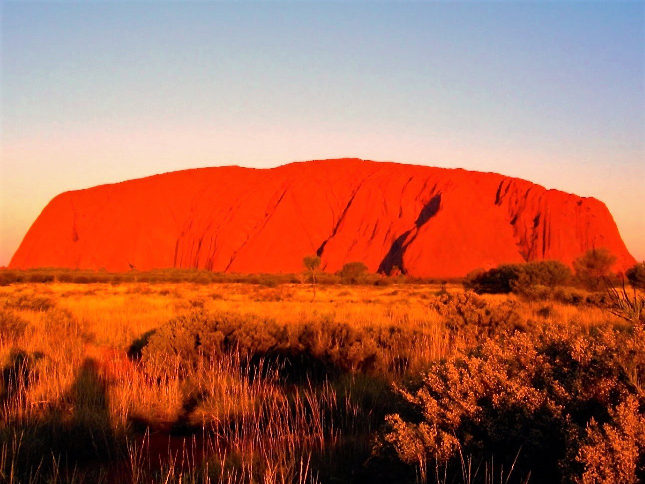 たまもかる アボリジニの聖地の夕焼け 世界遺産である聖地ウルルは世界で2番目に大きい赤色の一枚岩である オーストラリア の中央部にあるウルル カタジュタ国立公園内にある 夕焼け ウルル 一枚岩 アボリジニ オーストラリア T Co