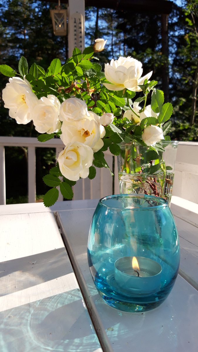 TKValko's tweet photo. @MaipuMaire @IrmeliKaija @PulmuM @JohannaKukka @annelitiainen1 @AnneHirvonen1 @maija_ku @minlaulai @TiinaAiraksinen @ArnkilKatriina Näyttää niin hyviltä, että pari ehkä riittää mullekin, kiitos ja hyviä unia https://t.co/eoJBSlcMYk