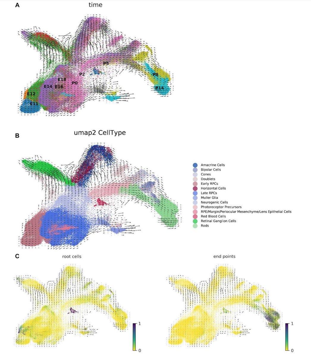 BioDecoded's tweet image. Modular and efficient pre-processing of single-cell RNA-seq | bioRxiv
biorxiv.org/content/10.110…

#bioinformaitcs #RNAseq